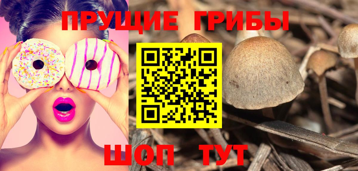 где купить   Вход с VPN  Усть-Илимск  Галлюциногенные грибы мицелий 